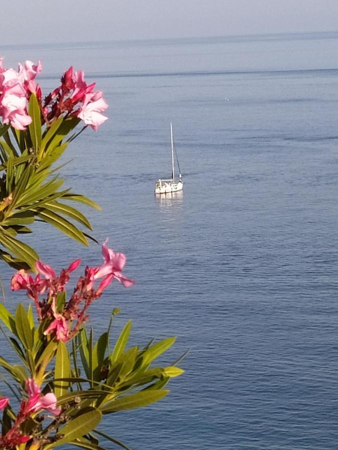 Las Palmeras Almuñécar Dış mekan fotoğraf