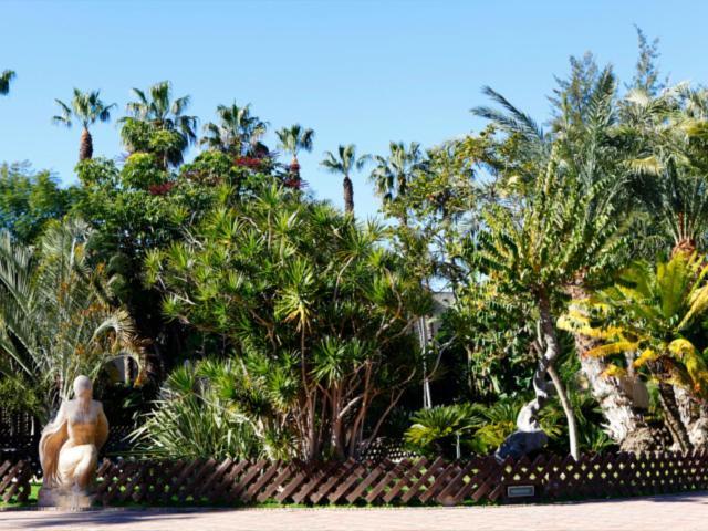 Las Palmeras Almuñécar Dış mekan fotoğraf